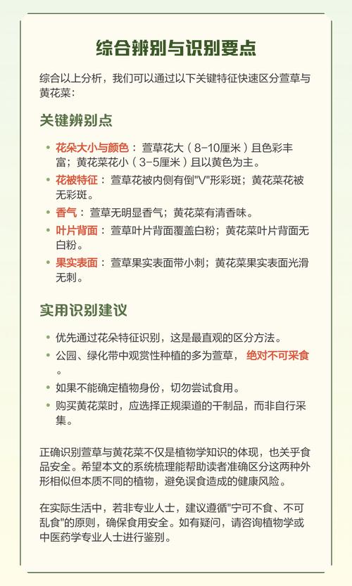 5. 常见误区