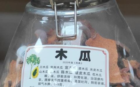 药用木瓜到底是啥？别再拿热带水果当药材了，认清这三种区别
