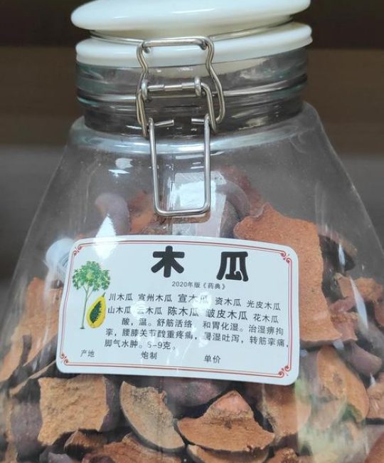 药用木瓜到底是啥？别再拿热带水果当药材了，认清这三种区别