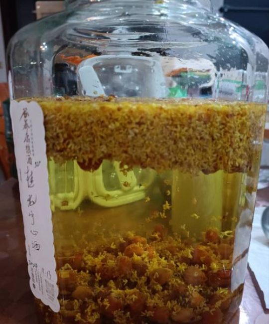 桂花泡酒有什么功效和作用？温中散寒但这些人要慎用