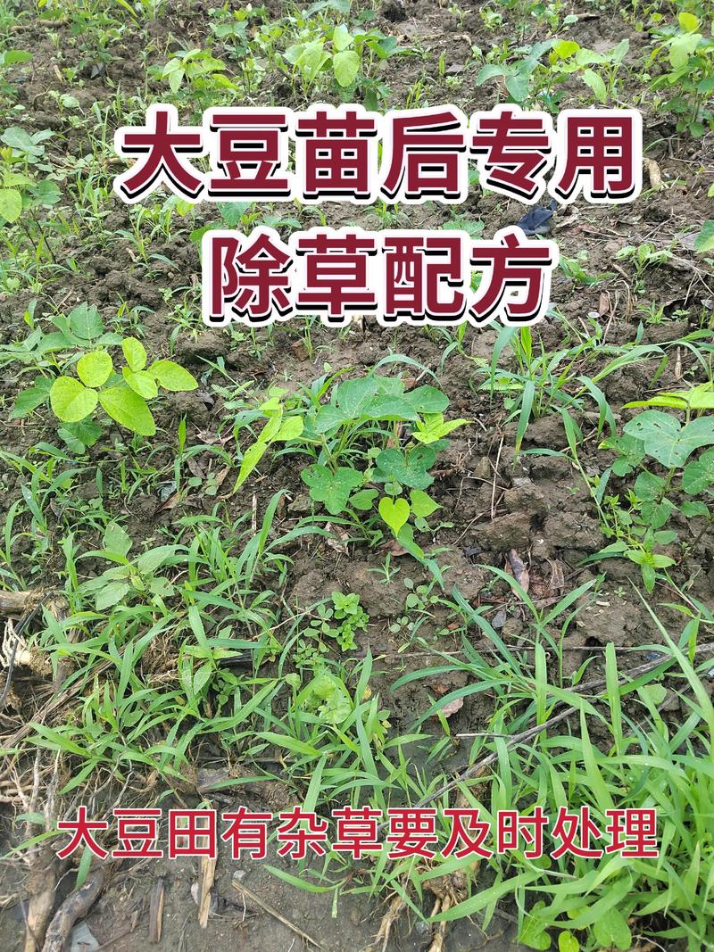 大豆苗后除草剂用什么好?专业配方与安全指南 大豆苗后除草剂用什么好?专业配方与安全指南
