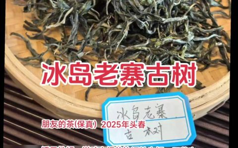 冰岛古树茶是什么茶