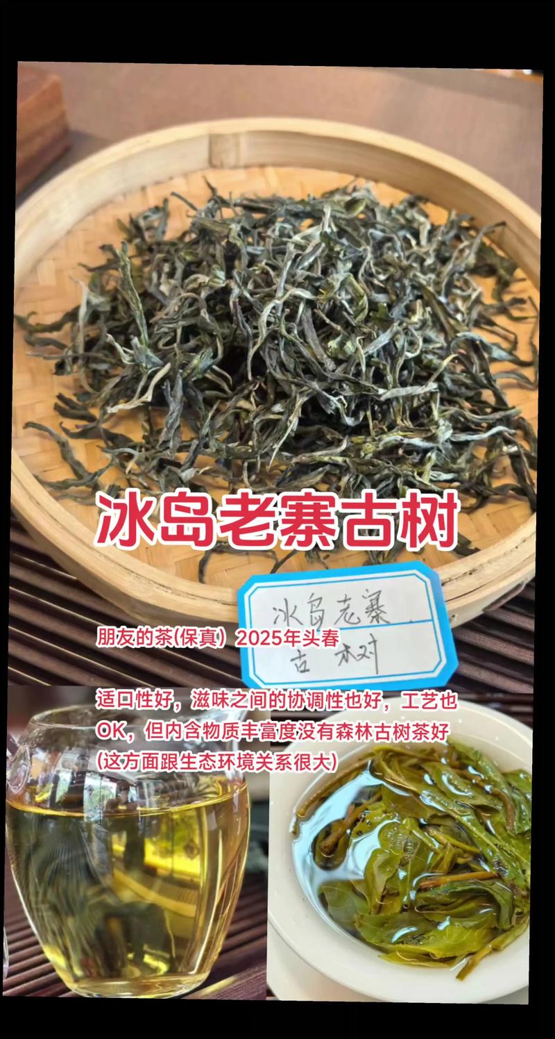 冰岛古树茶是什么茶
