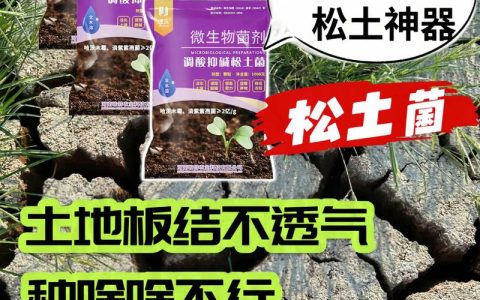 改善土壤板结的方法：家庭园艺如何让土壤松软透气