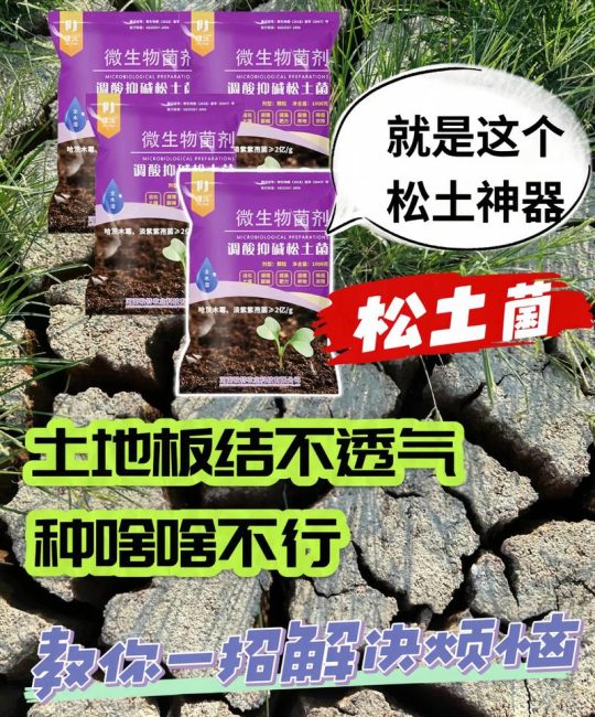 改善土壤板结的方法：家庭园艺如何让土壤松软透气
