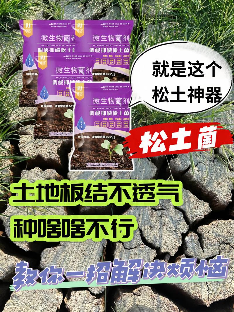 改善土壤板结的方法：家庭园艺如何让土壤松软透气