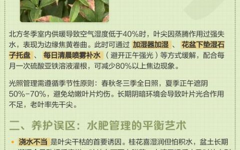 桂花叶子干尖怎么回事？5大原因及解决方案
