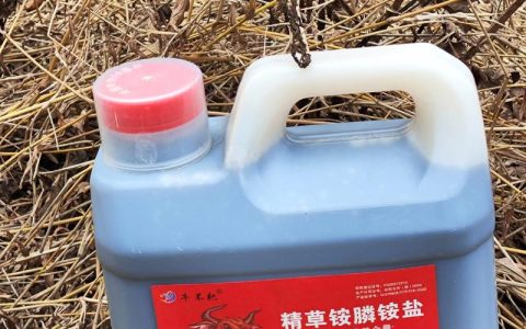 除草剂最厉害是哪种？2026年权威指南：高效除草剂选择与安全使用