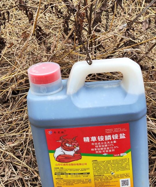除草剂最厉害是哪种？2026年权威指南：高效除草剂选择与安全使用