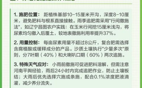 小苗移栽后多少天施肥？3个标准判断缓苗期结束