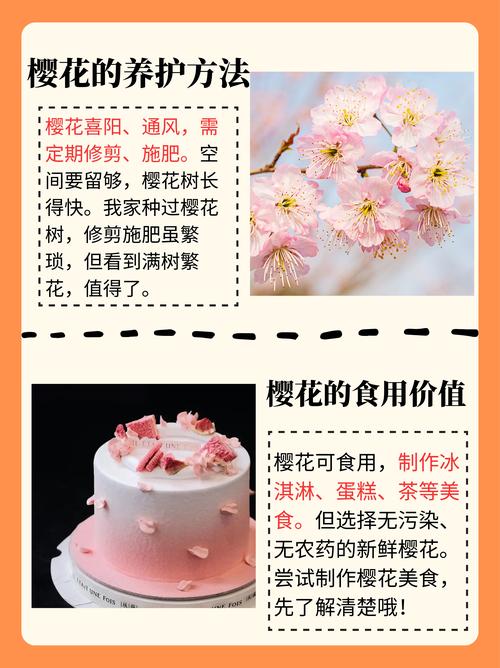 樱花什么时候开花？详解花期、观赏期及促花技巧