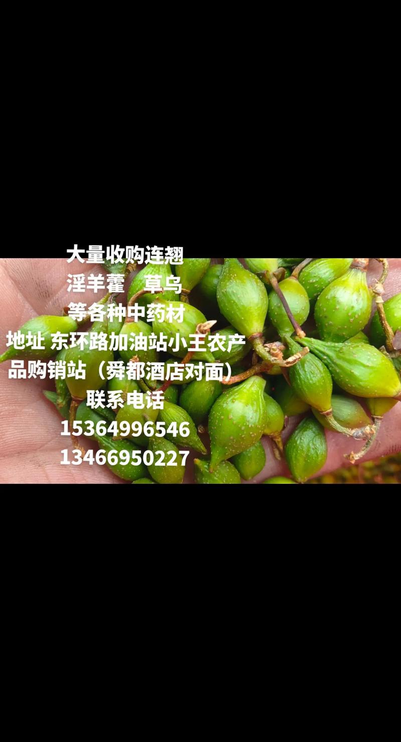 连翘价格多少钱一斤?规格、产地、季节影响报价 规格因素