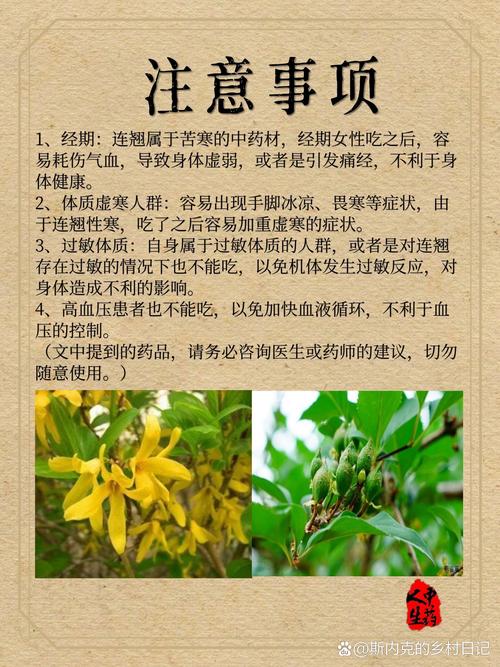 连翘价格多少钱一斤?规格、产地、季节影响报价 FAQ