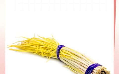 韭黄是怎么种出来的？家庭种植避光技术全攻略