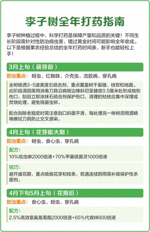 李子树打药最佳时间及全年病虫害防治全攻略 李子树打药最佳时间及全年病虫害防治全攻略