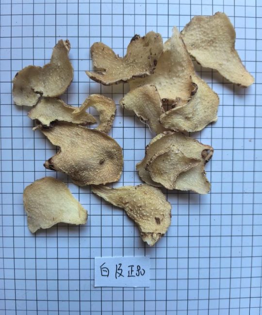 白及和白芨是同一种中药材吗？功效与安全性全解析
