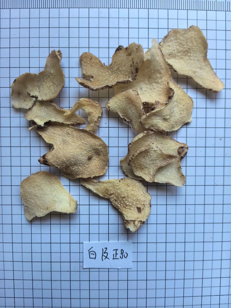 白及和白芨是同一种中药材吗?功效与安全性全解析 白及和白芨是同一种中药材吗?功效与安全性全解析