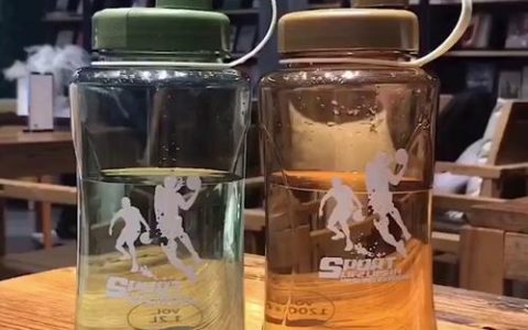 茶花水杯能养吗？茶花土培与水培的区别及养护全攻略
