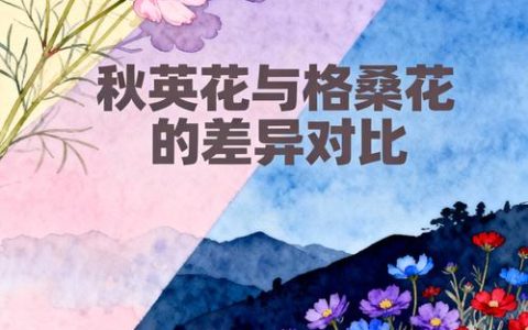 秋英和格桑花是一种花吗？一文区分两种常见花卉