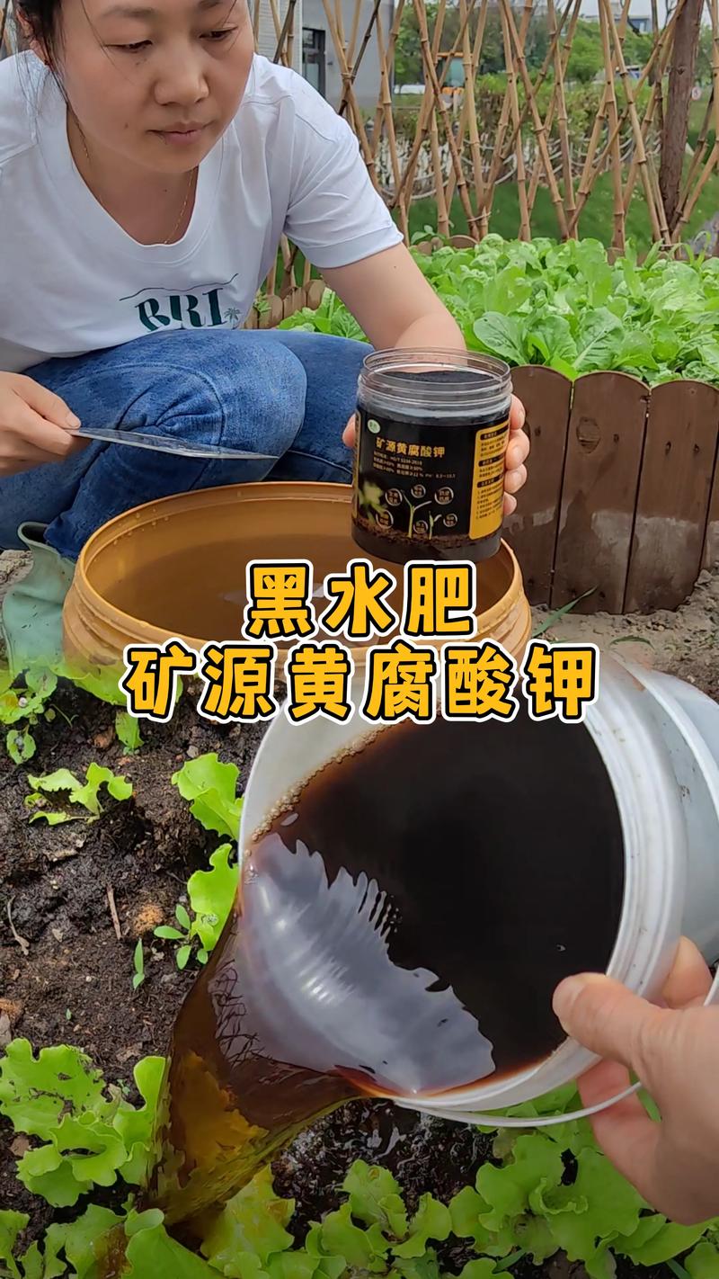 家庭盆栽土壤板结怎么办?改良土壤最好的肥料与养护全攻略 家庭盆栽土壤板结怎么办?改良土壤最好的肥料与养护全攻略