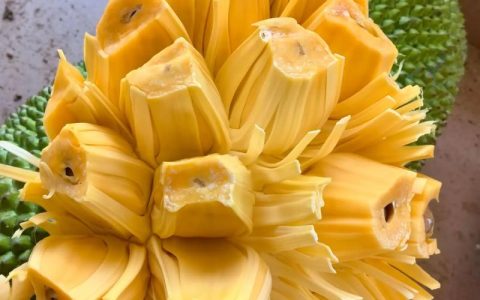 菠萝蜜一斤多少钱？规格、产地、季节影响报价详解