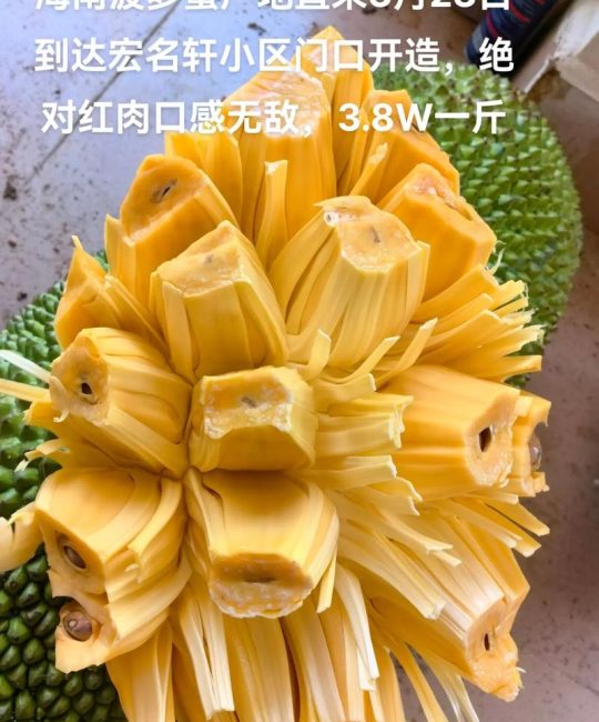 菠萝蜜一斤多少钱？规格、产地、季节影响报价详解