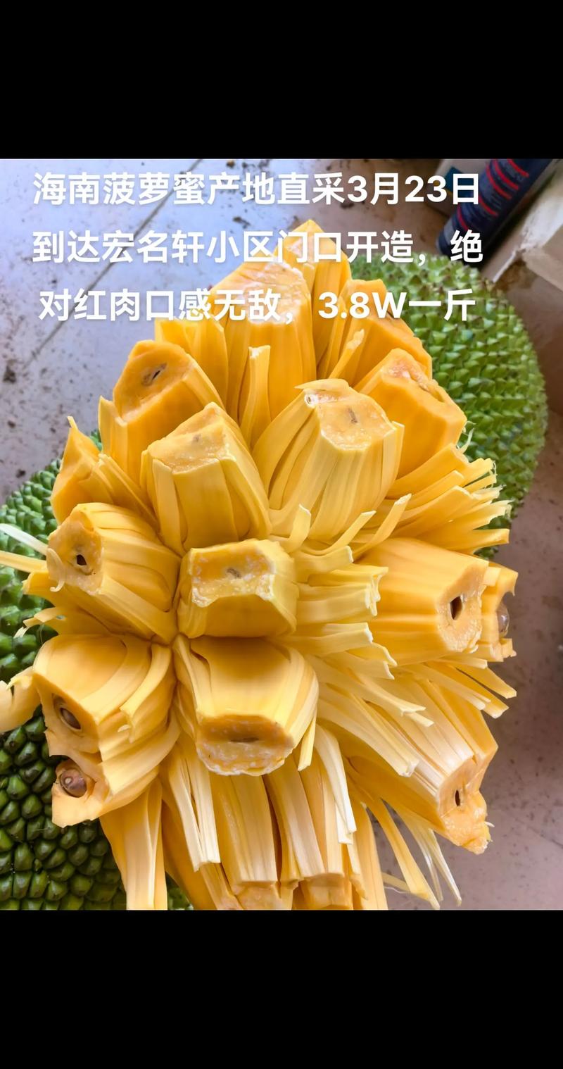 菠萝蜜一斤多少钱？规格、产地、季节影响报价详解