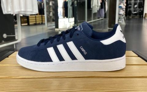 三叶草gy5856品种特性与全生命周期养护指南