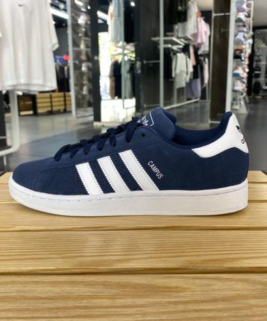 三叶草gy5856品种特性与全生命周期养护指南