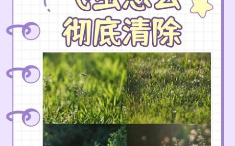 花土里的小飞虫怎么彻底清除？3步物理+化学法，根除虫害不伤花