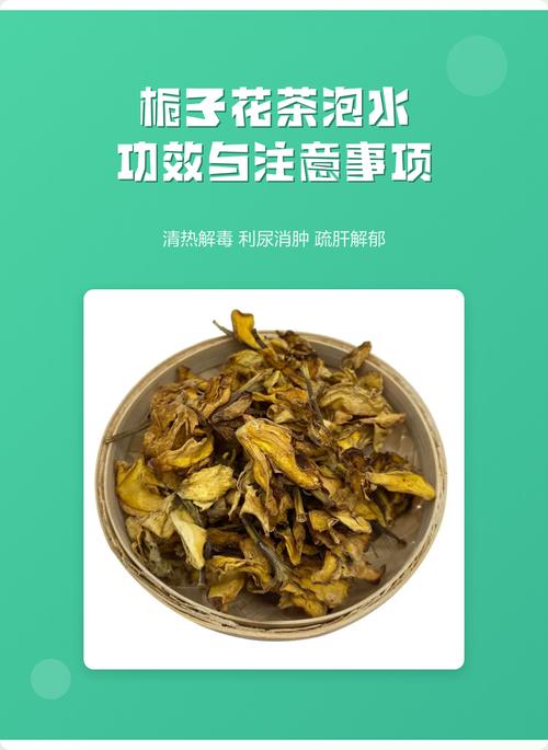 栀子花:食用、药用与安全注意事项全解析 🚫 注意事项与禁忌