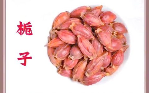 干栀子花的功效与作用：清热解毒的“天然灭火器”