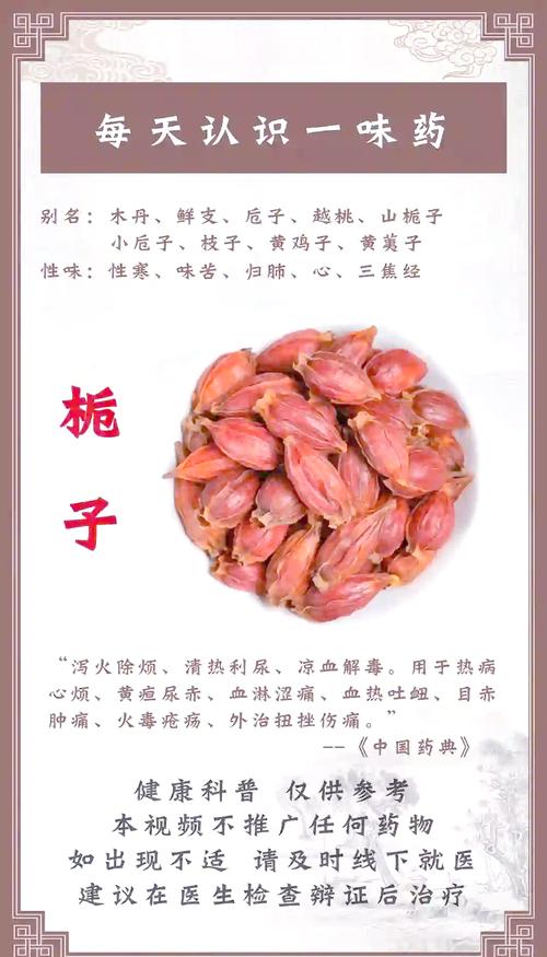 干栀子花的功效与作用:清热解毒的“天然灭火器” 干栀子花的功效与作用:清热解毒的“天然灭火器”