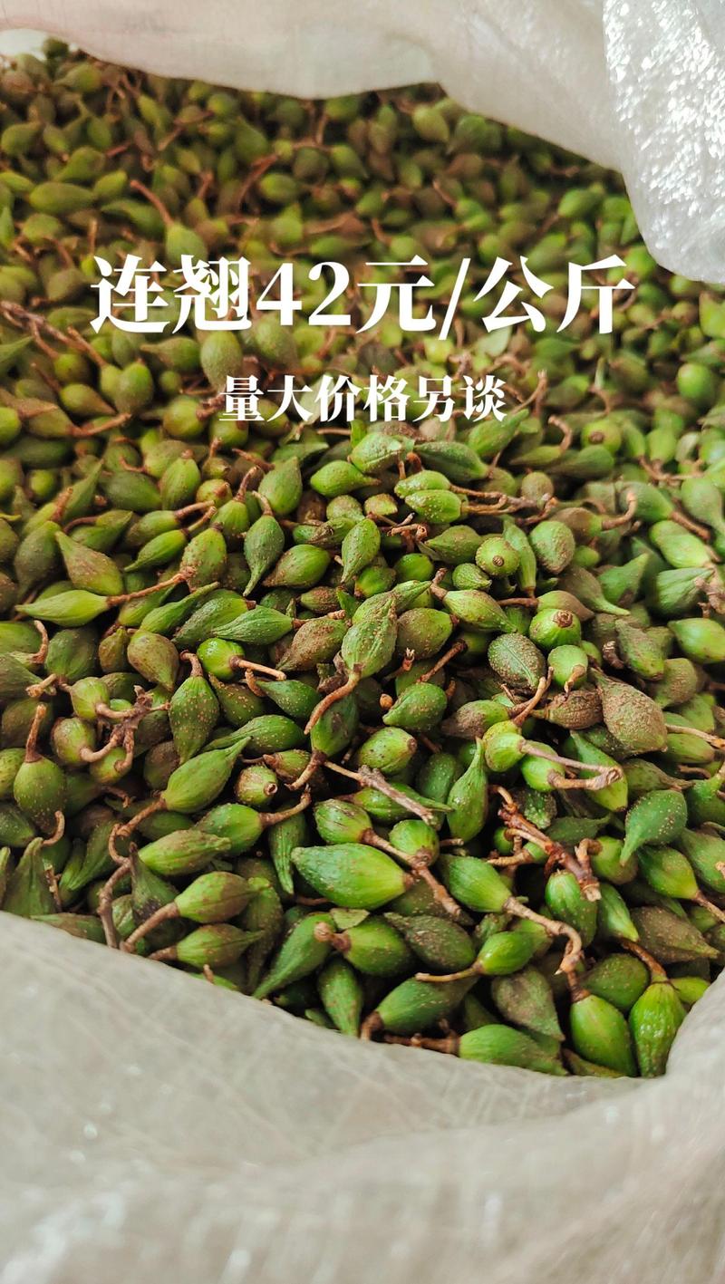 2026年干连翘多少钱一斤？市场报价与影响因素分析