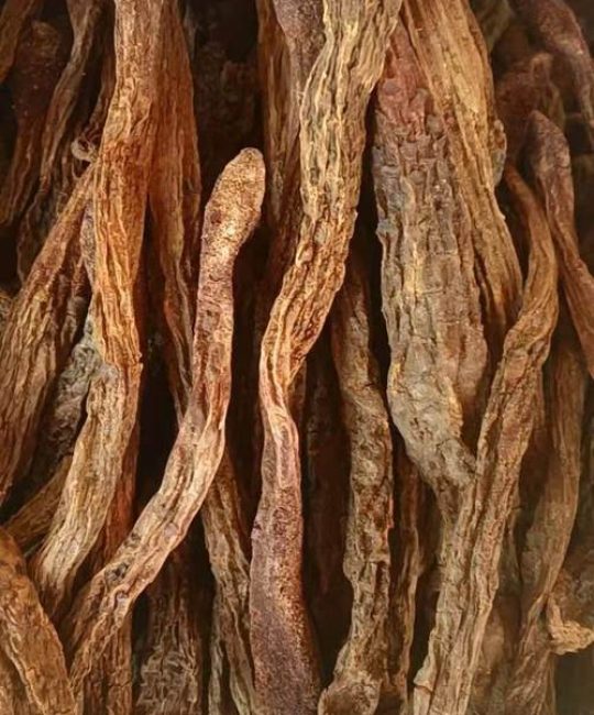 枣树皮的功效与作用：止汗止血的民间偏方，但需谨慎使用