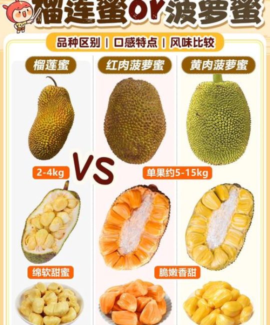 菠萝蜜品种深度对比：干包、水包、粉包及泰国金菠萝蜜选择指南