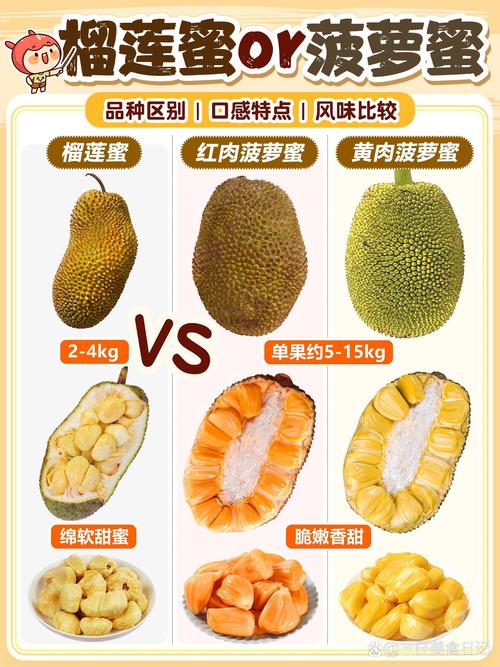 菠萝蜜品种深度对比:干包、水包、粉包及泰国金菠萝蜜选择指南 菠萝蜜品种深度对比:干包、水包、粉包及泰国金菠萝蜜选择指南