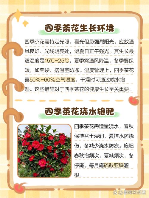茶花是四季常青吗?一文读懂山茶花的生长习性、养护要点与气候适应方案 总结:3个核心可执行动作