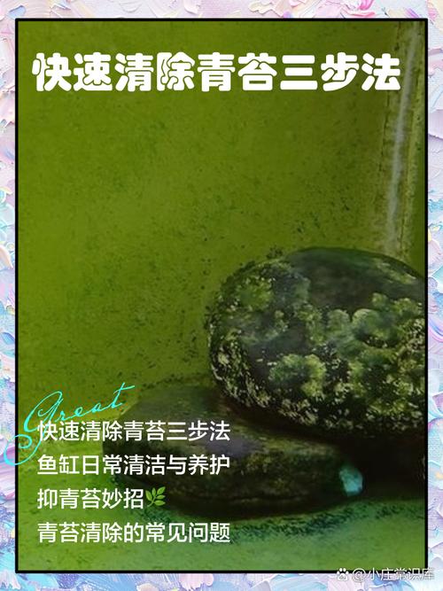 青苔是水生植物吗?真相与水生苔藓养护指南 总结