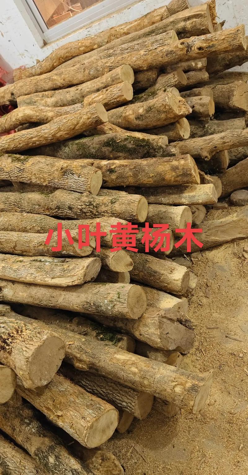 黄杨木与崖柏哪种木材好一点:深度对比解析 用途与工艺要求