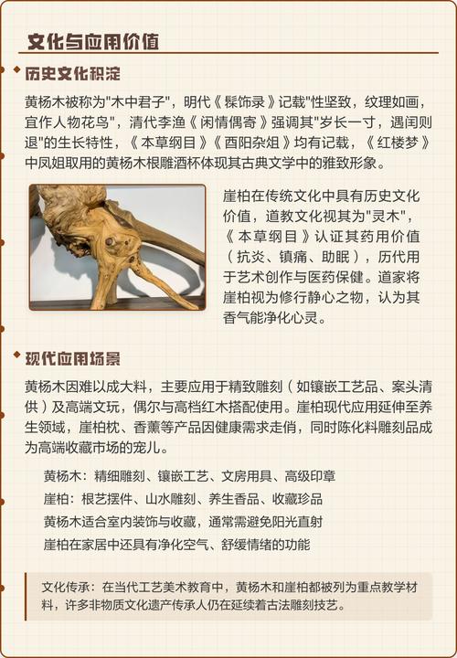 黄杨木与崖柏哪种木材好一点:深度对比解析 常见误区与鉴别技巧