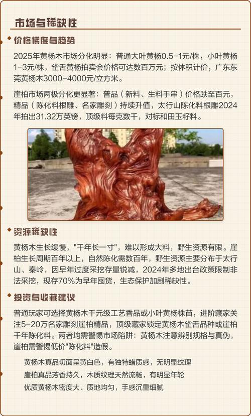 黄杨木与崖柏哪种木材好一点:深度对比解析 市场行情与选购建议