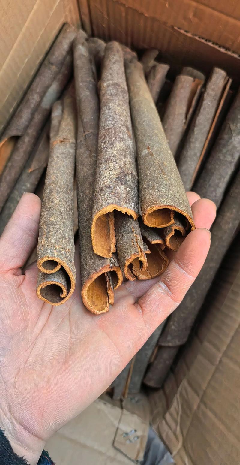 桂皮是桂花树的皮吗?揭秘香料与观赏植物的“血缘”关系 桂皮是桂花树的皮吗?揭秘香料与观赏植物的“血缘”关系