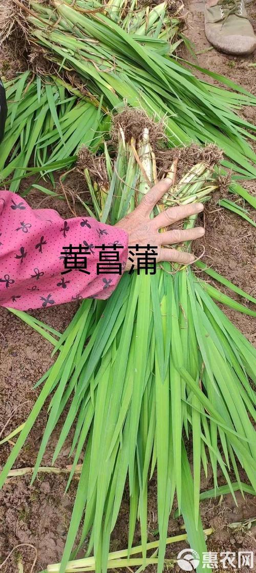总结：三个核心可执行动作
