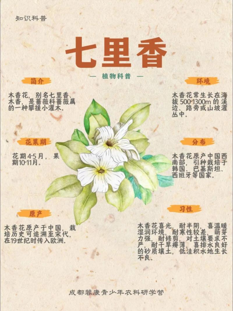 蔷薇花并非四季常青:习性解析与地域化种植指南 常见问题 FAQ