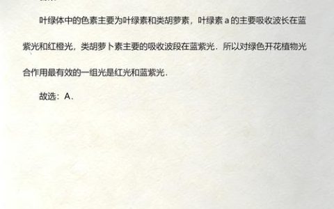 植物光合作用需要什么样的光：红光蓝光与光谱全解析