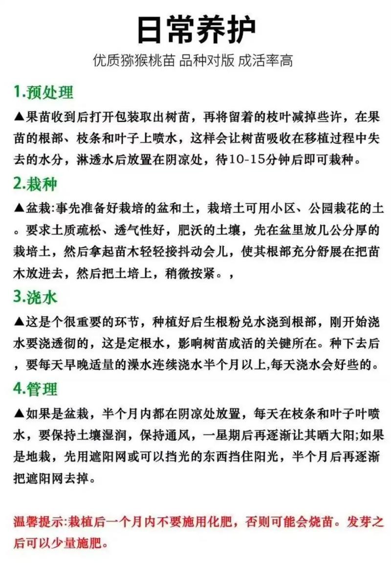 如何找到可靠的果树苗购买渠道?品种验证与质量评估全指南 总结验证:如何做出最终采购决策