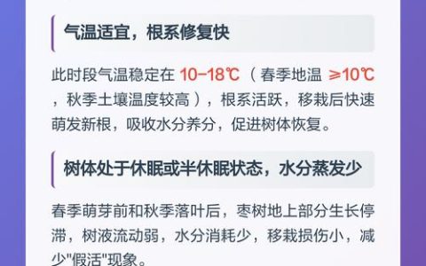 枣树什么时候移栽成活率高？掌握这7步技术保成活
