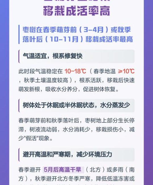 枣树什么时候移栽成活率高？掌握这7步技术保成活