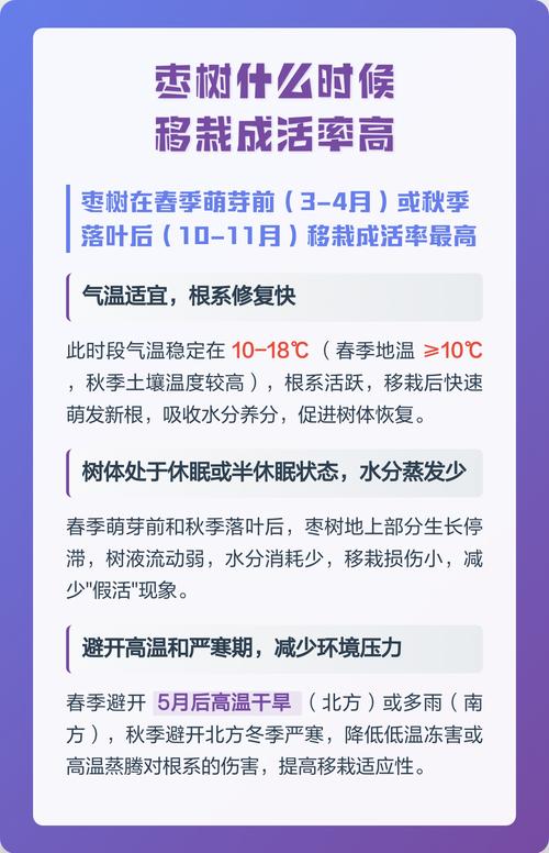 枣树什么时候移栽成活率高?掌握这7步技术保成活 枣树什么时候移栽成活率高?掌握这7步技术保成活